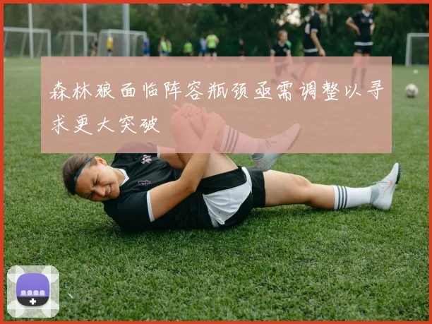 森林狼面临阵容瓶颈亟需调整以寻求更大突破