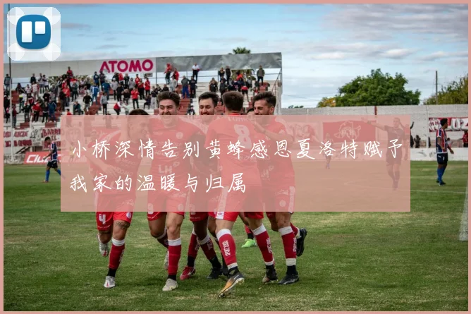 小桥深情告别黄蜂感恩夏洛特赋予我家的温暖与归属