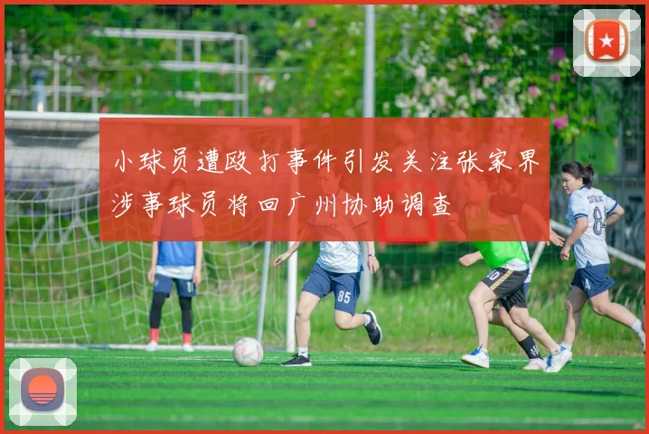 小球员遭殴打事件引发关注张家界涉事球员将回广州协助调查