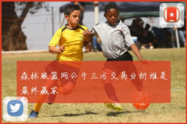 森林狼篮网公牛三方交易分析谁是最终赢家